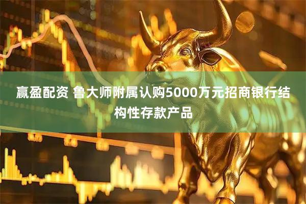 赢盈配资 鲁大师附属认购5000万元招商银行结构性存款产品