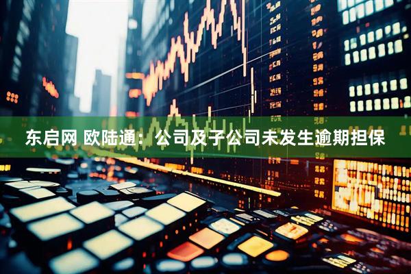 东启网 欧陆通：公司及子公司未发生逾期担保