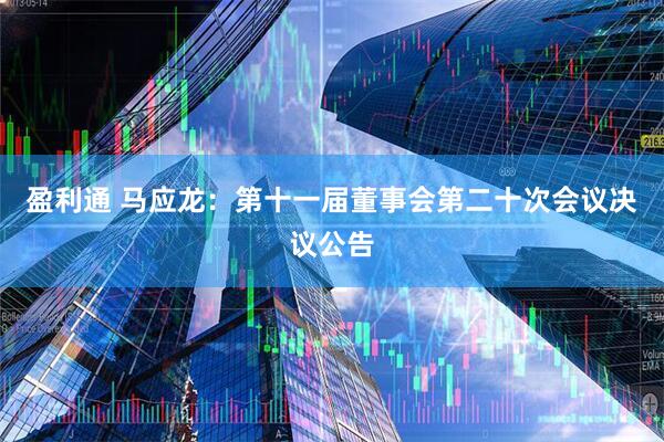 盈利通 马应龙：第十一届董事会第二十次会议决议公告