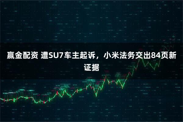 赢金配资 遭SU7车主起诉，小米法务交出84页新证据