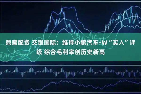 鼎盛配资 交银国际：维持小鹏汽车-W“买入”评级 综合毛利率创历史新高