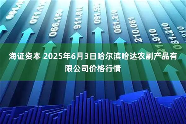 海证资本 2025年6月3日哈尔滨哈达农副产品有限公司价格行情
