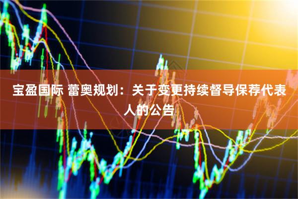 宝盈国际 蕾奥规划：关于变更持续督导保荐代表人的公告