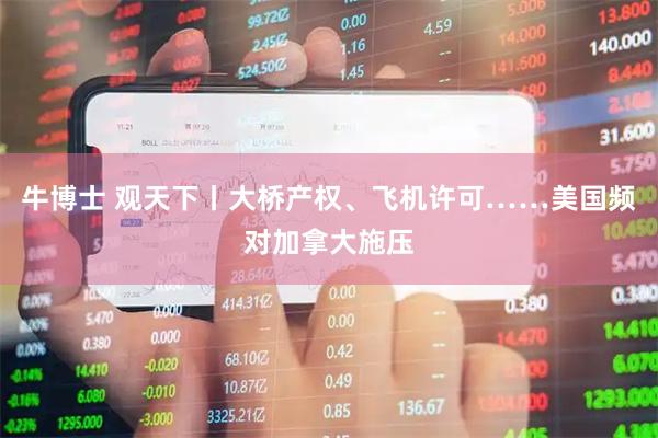 牛博士 观天下丨大桥产权、飞机许可……美国频对加拿大施压