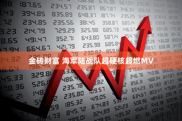 金砖财富 海军陆战队超硬核超燃MV