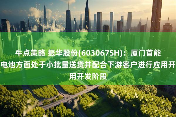 牛点策略 振华股份(603067SH)：厦门首能在固态电池方面处于小批量送货并配合下游客户进行应用开发阶段
